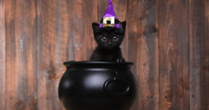 Black cat in a cauldron and witch's hat to convey the point "Conjure Up Ideas with AI-Assisted Brainstorming"