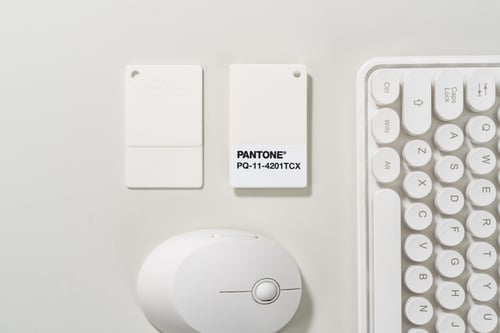 PANTONE 11-4201 Cloud Dancer Plastic Chip Usage