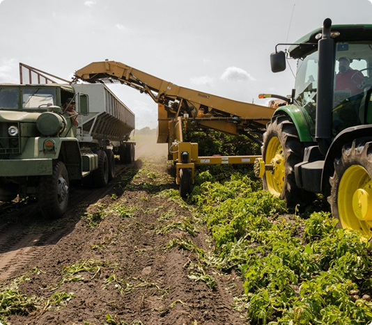 Ag Clients