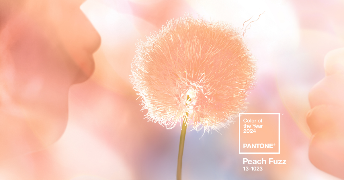 Design Spotlight: Warming Up to Pantone’s 2024 Color of the Year – Peach Fuzz