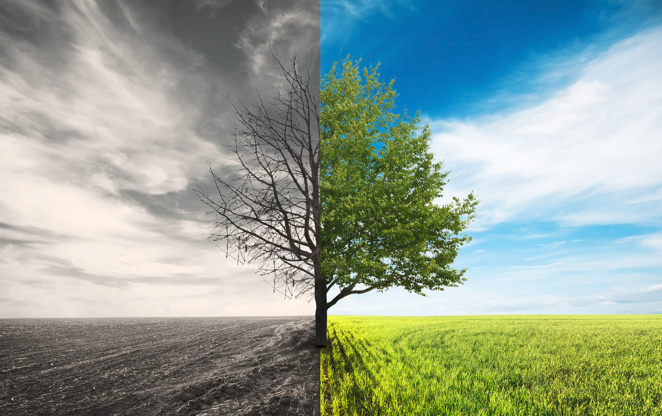 “My AUM is Literally Dying,” Marketing Your Business Before Your Clients and Your Business Dies