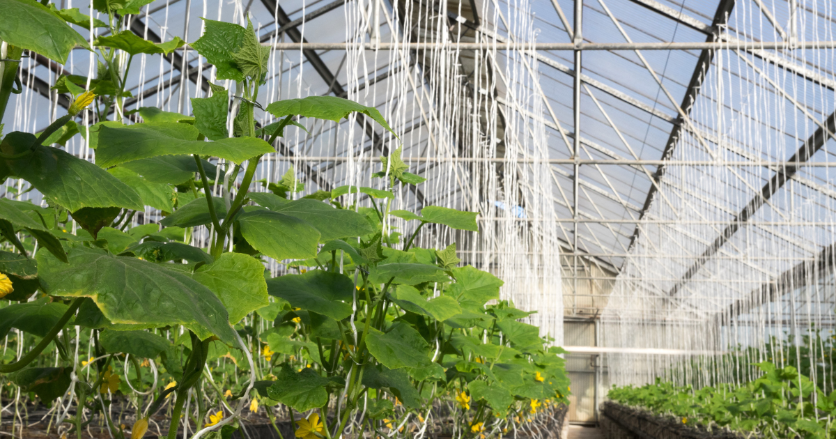 Harvesting Success: How Collaboration Fuels Agtech Advancements