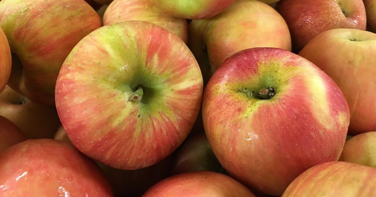 Ag Marketing Spotlight: The Fight to Save the Apple Orchards