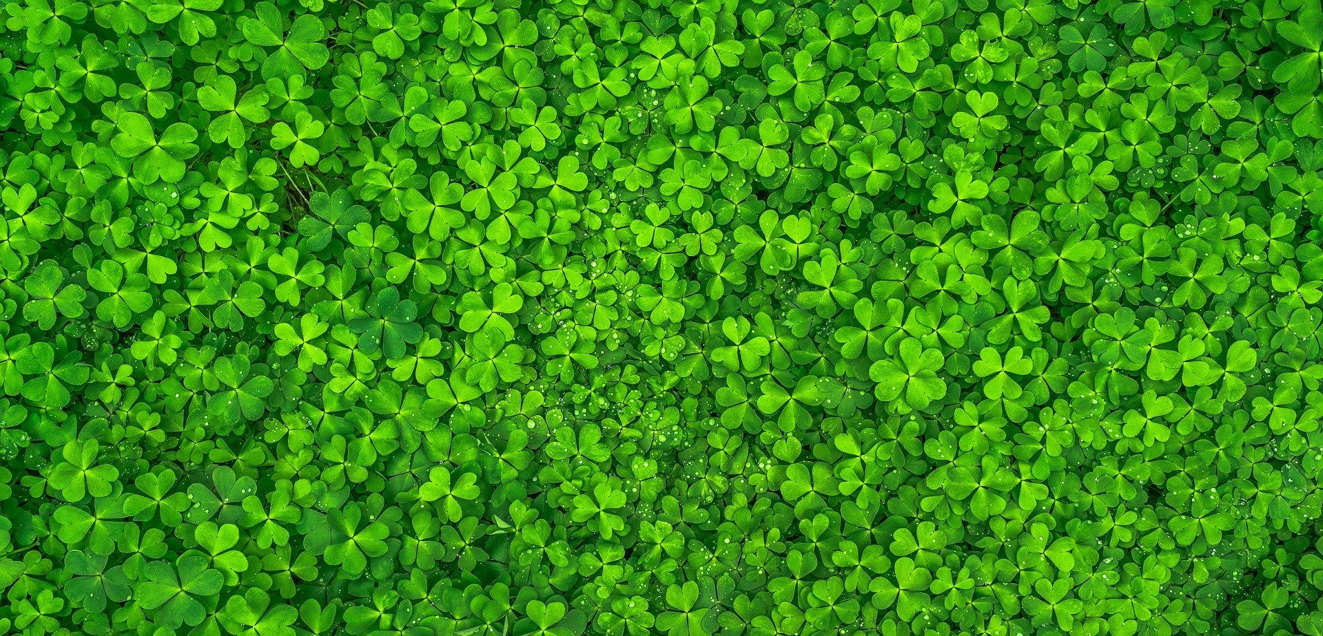 The Influence of Luck In Your Career
