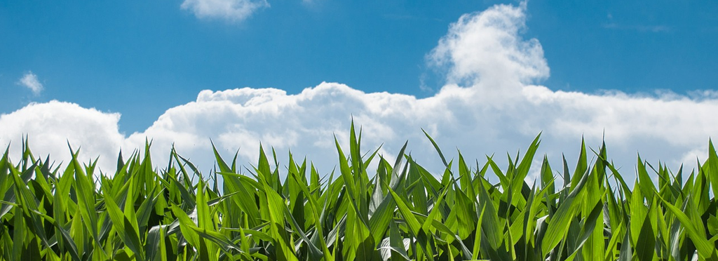 Agribusiness and Farming Stats 2019: An Infographic