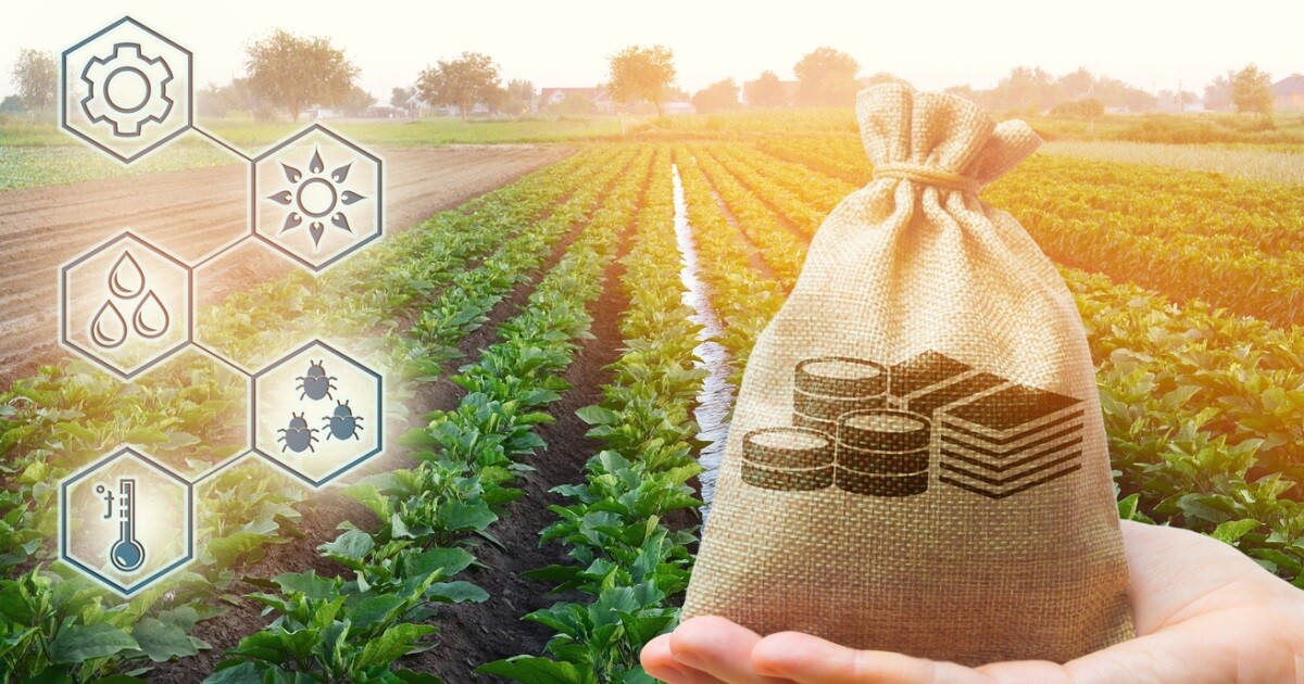 Investing in Farmland; The New Frontier. 