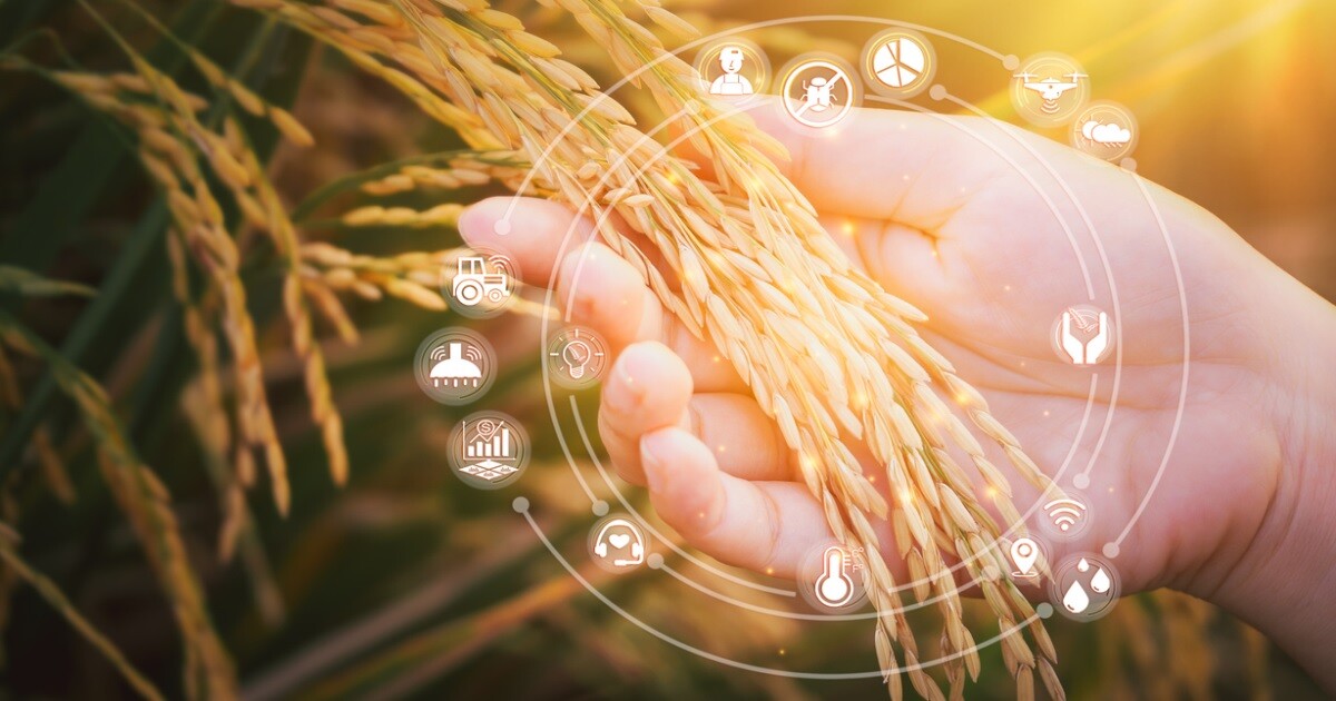 Precision Farming: A Model of Efficiency