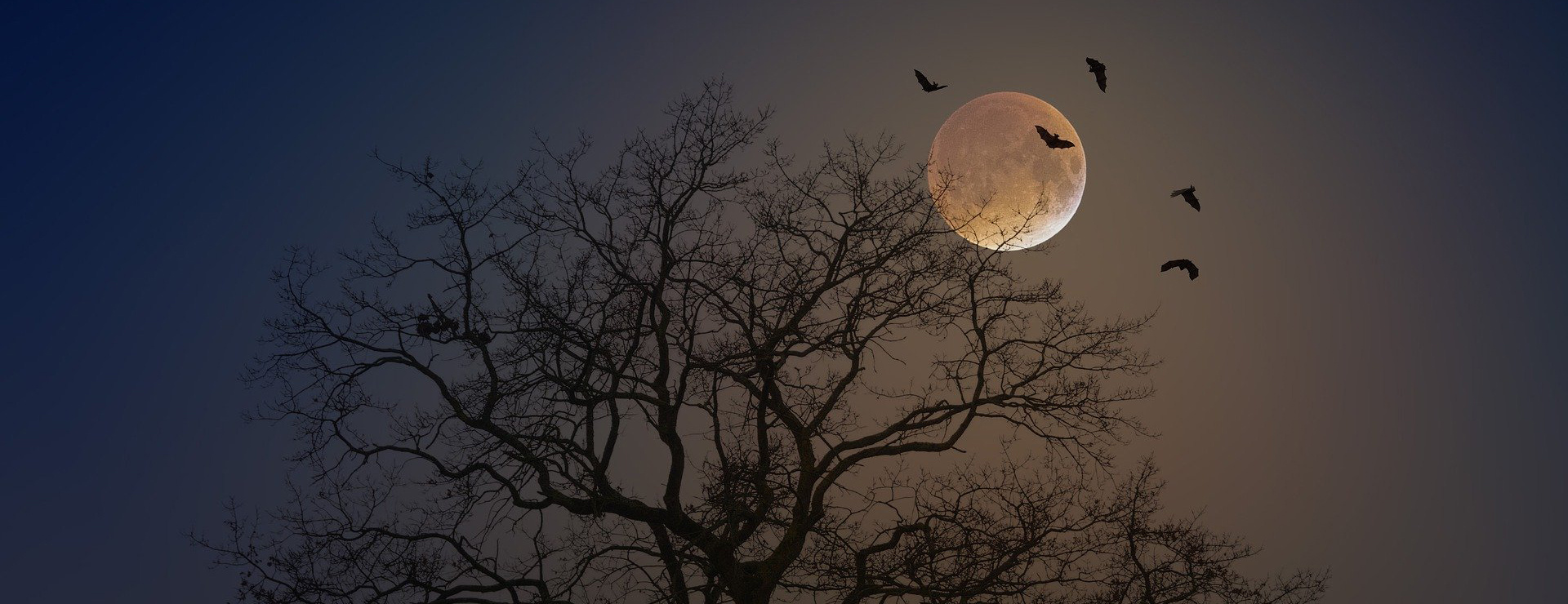 Spooky Cybersecurity Statistics Haunting 2023