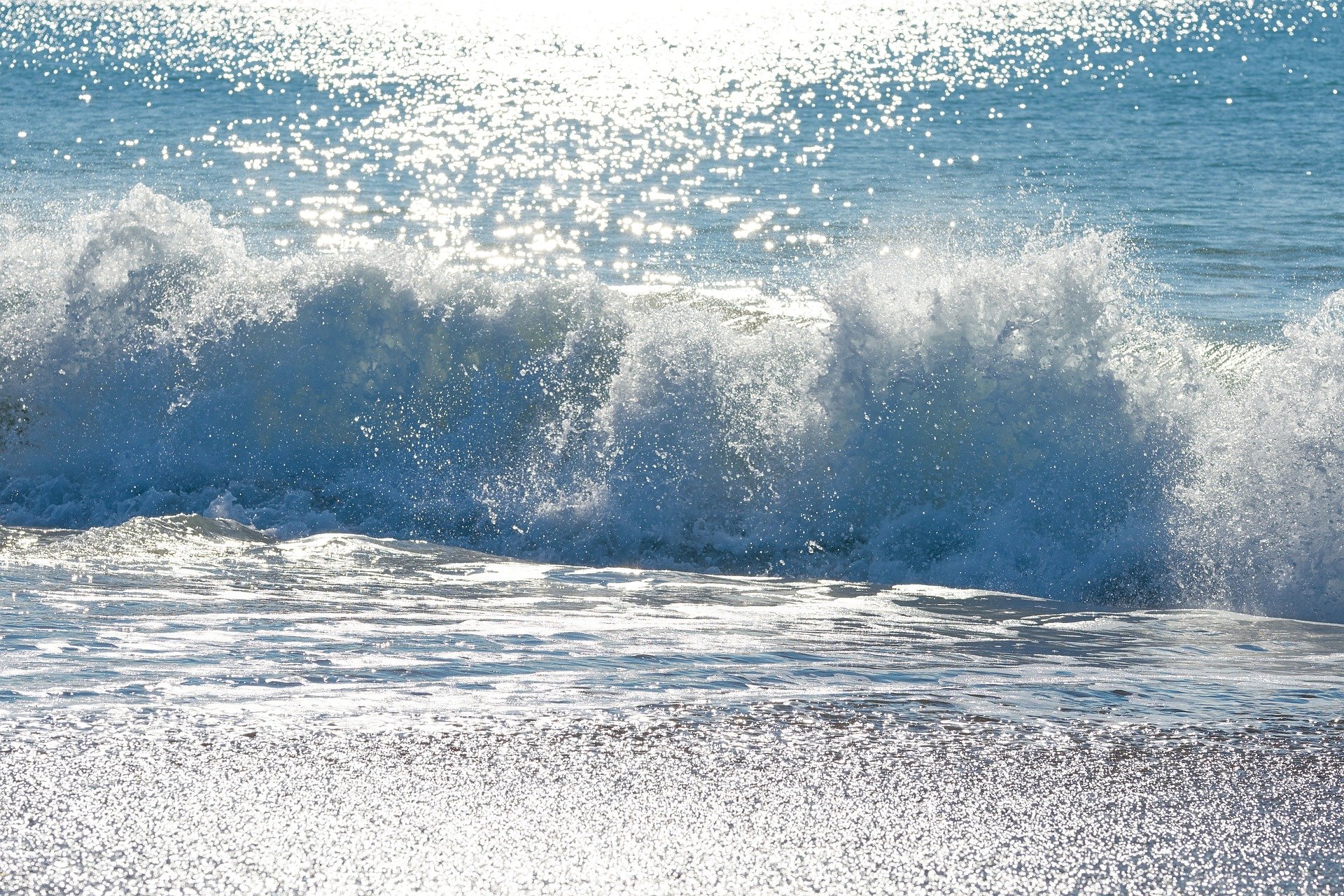 Gate 39 Media Highlights 5 Earth-Conscious Companies Helping to Clean Our World’s Oceans