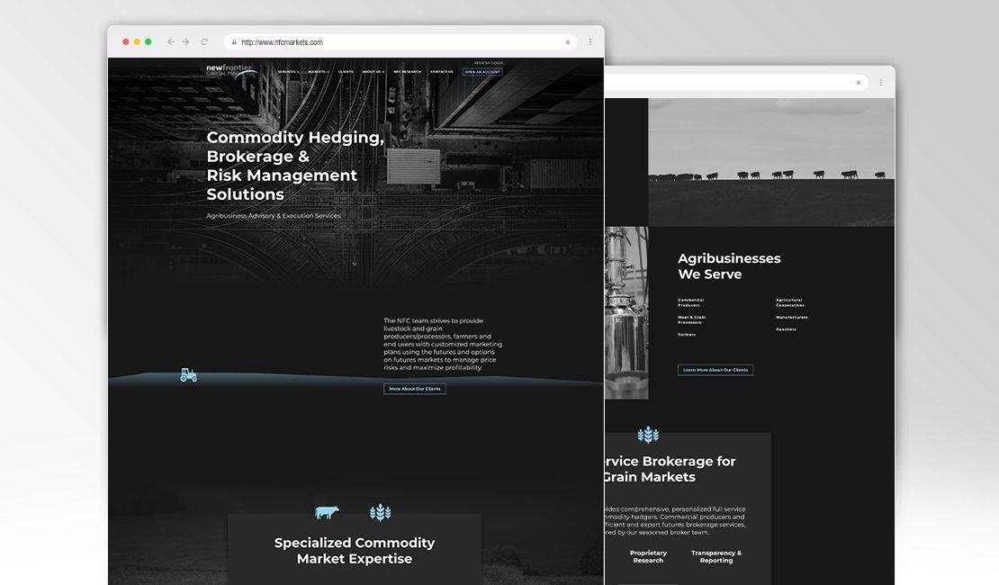 New_Frontier_Markets_Portfolio_Header