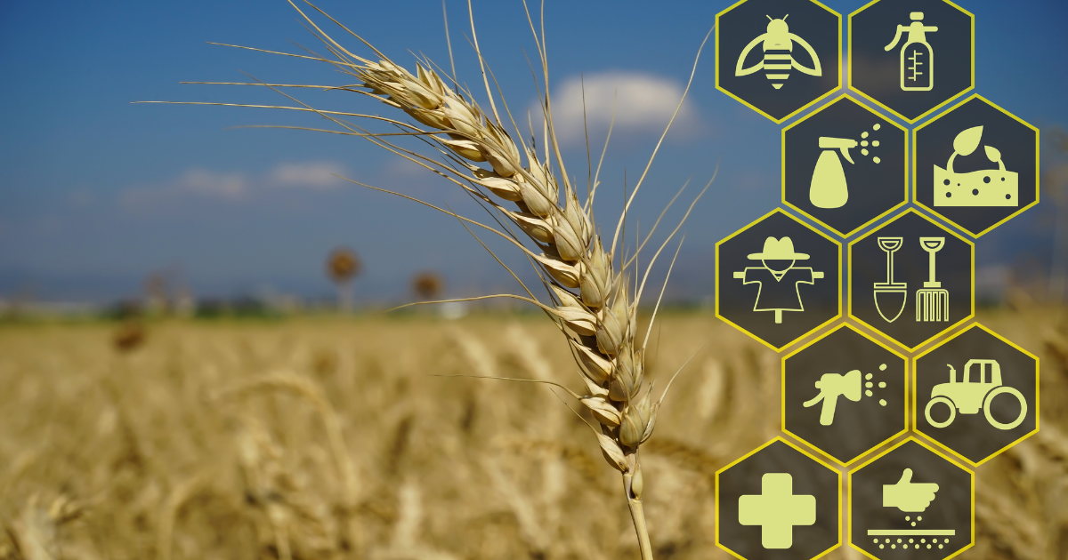 Ag Services and AI: How Smart Tech is Helping Businesses Scale Efficiently