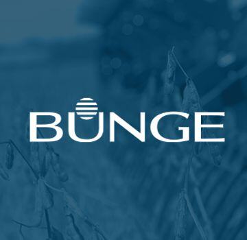 g39-bungeag-cover