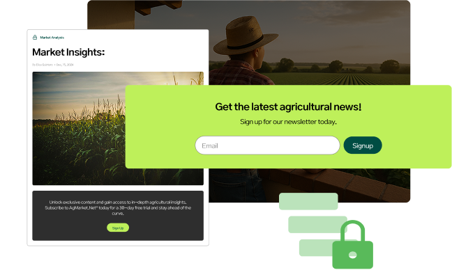 img-blocked-content (1)