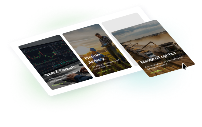 img-website-conten-3