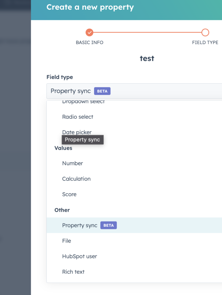 HubSpot Sync Property Type feature